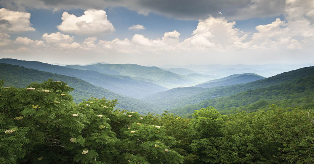 Blue Ridge Parkway Scenic Mountains Overlook Summer Landscape Asheville NC at Craggy Gardens in WNC